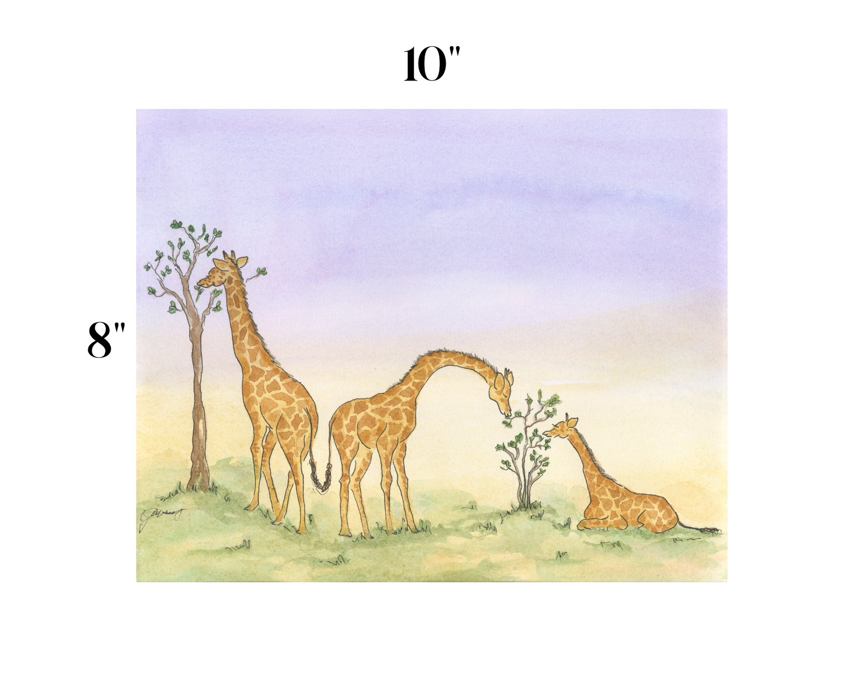 A watercolor-style art print showing three giraffes in a soft pastel landscape, with size markers reading 10 inches at the top and 8 inches on the left, on a white background.