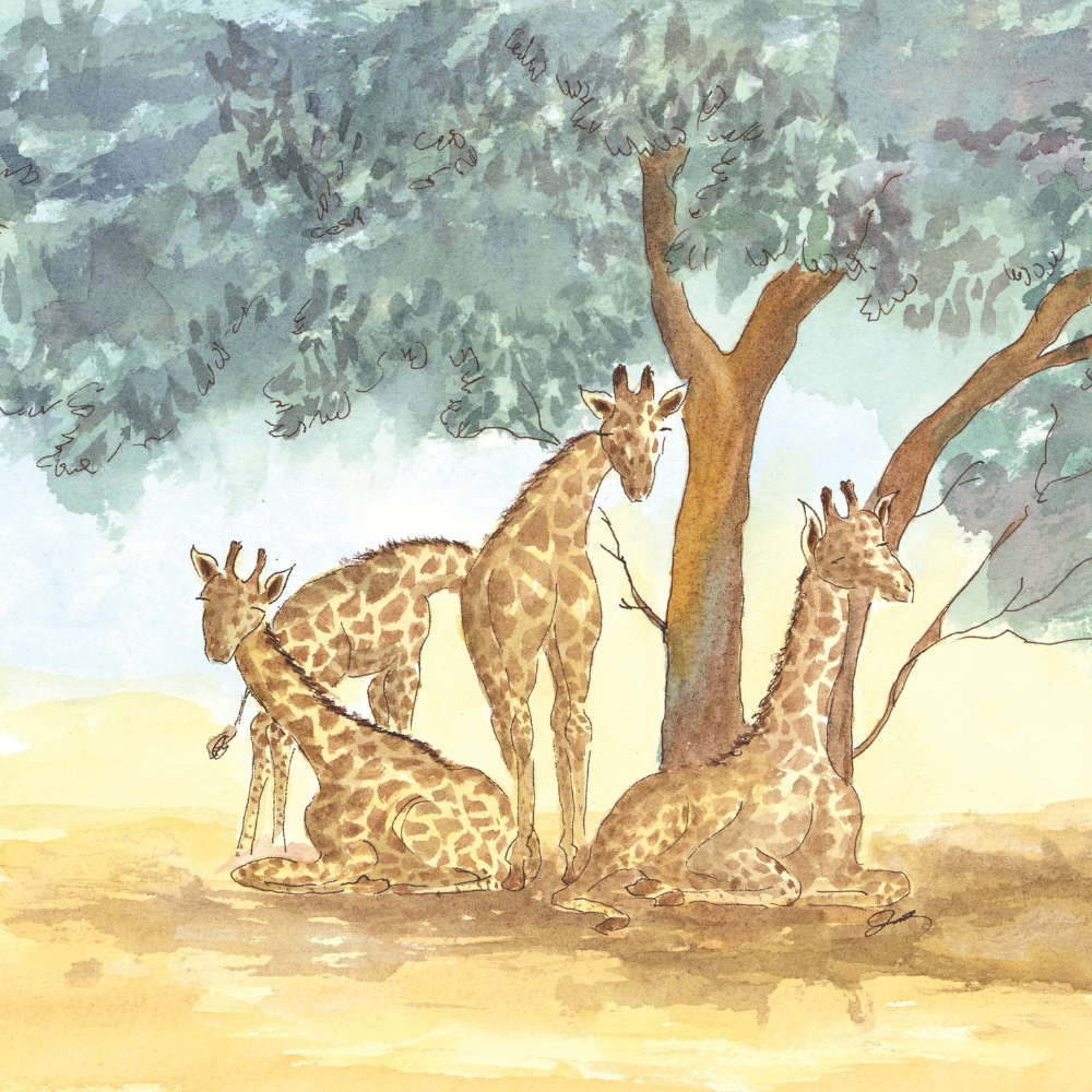 Watercolor-style artwork showing three giraffes under a large tree, with soft blue-green foliage and a warm beige ground.
