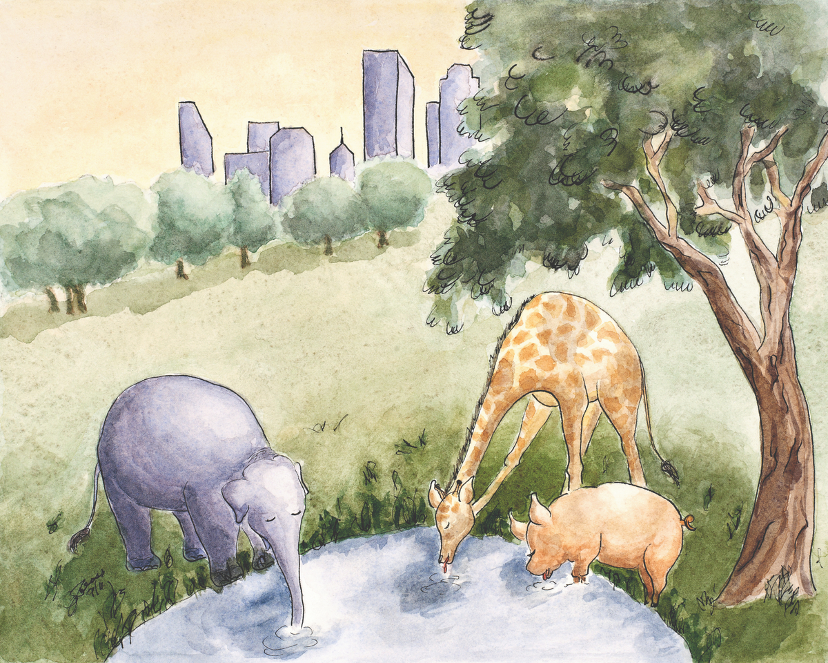 Watercolor-style illustration of an elephant, giraffe, and pig drinking from a pond in a grassy landscape with trees and a city skyline in the background.
