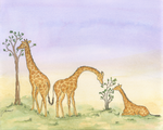 Watercolor-style artwork showing three giraffes in a savanna scene with small trees under a soft lavender sky.
