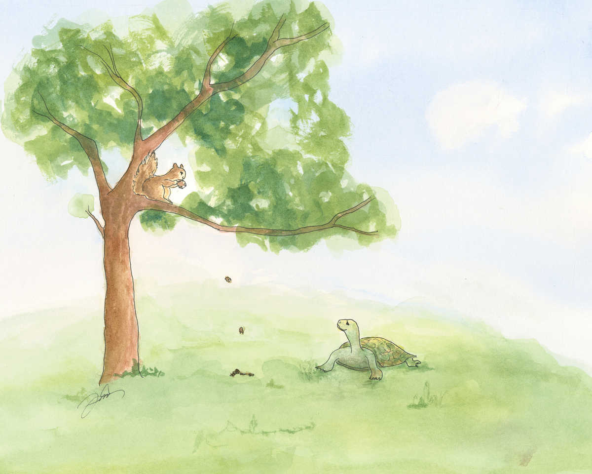 8x10 watercolor art print of a turtle and a squirrel in a leafy tree on a grassy hill for woodland nursery decor.