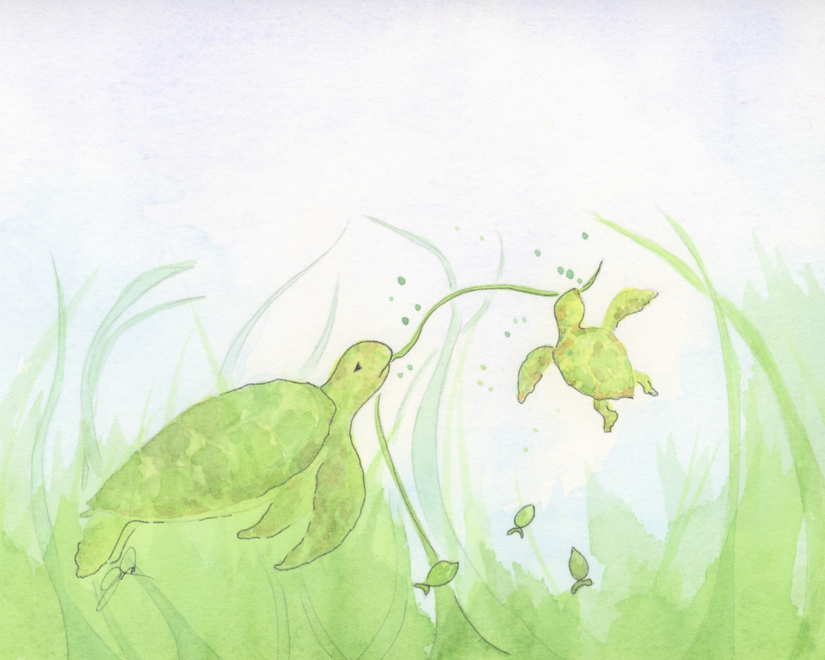 8x10 watercolor art print of a mother and baby sea turtle swimming in sea grass for nursery wall decor.